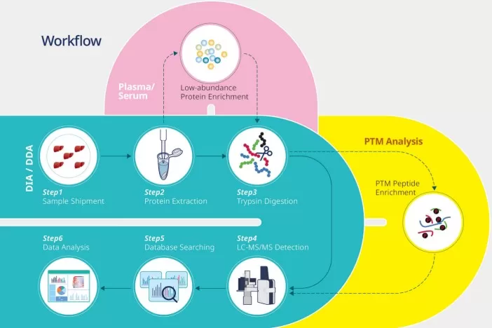 A practical workflow for phosphoproteomics analysis